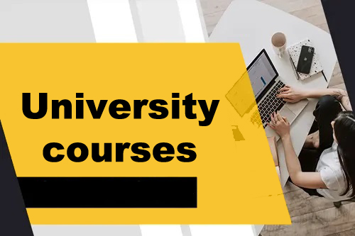 Course - Diploma in Computer Application - 6 Month